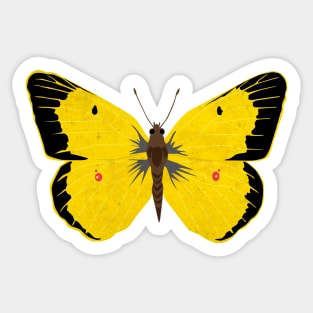 Yellow Clouded Sulphur Butterfly Sticker